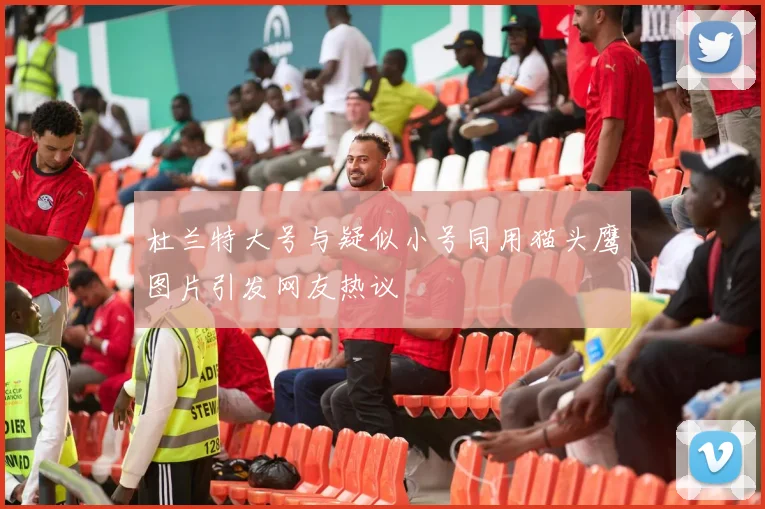 杜兰特大号与疑似小号同用猫头鹰图片引发网友热议