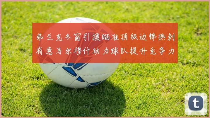 弗兰克冬窗引援瞄准顶级边锋热刺有意马尔穆什助力球队提升竞争力