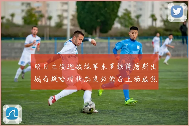 明日主场迎战绿军米罗缺阵唐斯出战存疑哈特状态良好能否上场成焦点
